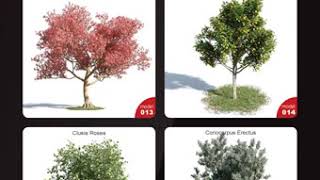 Download Evermotion – Archmodels Vol 154  plants and trees [upl. by Jocko]