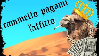 Cammello pagami ľaffittoofficial songdirected by boh [upl. by Ulric]