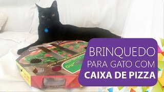 DIY  Brinquedo para Gato com Caixa de Pizza [upl. by Greabe]