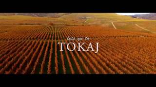 TOKAJ Autumn Winery Landscape 2017 Hungary [upl. by Gainor337]