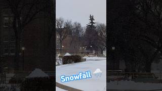 saskatoon canada winter snowfall [upl. by Aliakam505]