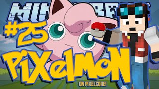 PINK WOOL INCIDENT  Minecraft Pixelmon Mod w DanTDM 25 [upl. by Winona]