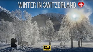 A journey for the essence of winter in Switzerland [upl. by Akineg]