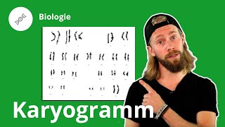 Karyogramm Was ist das und wozu braucht man es – Biologie  Duden Learnattack [upl. by Rowan]