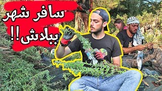 سافر كمتطوع ببلاش دليل شامل  تجربتي مع موقع Workawayinfo والسياحة التطوعية [upl. by Rehpitsirhc682]