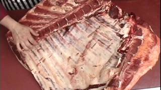 Beef Forequarter Brisket Primal Removal [upl. by Windsor]