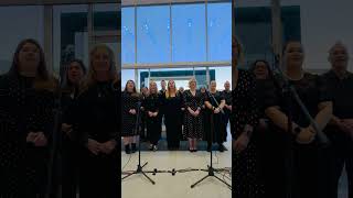 Chepstow Musical Show Choir performs True Colours by Glee [upl. by Anaet373]