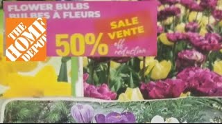 Home Depots INSANE Fall Bulb Sale [upl. by Yeldah]