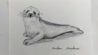 Beginners Seal Drawing Tutorial With Charcoal [upl. by Mandel]