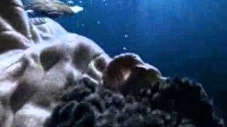 Реклама Ariston Aqualtis  Подводный мир Underwater World TV Commercial [upl. by Aeynod]