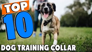 Top 10 Best Dog Training Collars Review In 2024 [upl. by Ahsirek]