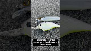 How To Know When To Fish A Crankbait VS A Jerkbait [upl. by Idur]