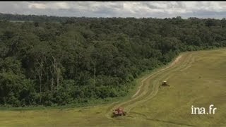 Brésil  forêt et champs cultivés en Amazonie [upl. by Samuelson447]