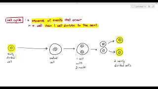 51 Introduction to the Mitotic Cell Cycle Cambridge AS A Level Biology 9700 [upl. by Rudelson]