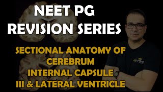 NEET PG SECTIONAL ANATOMY OF CEREBRUM INTERNAL CAPSULE III amp LATERAL VENTRICLES [upl. by Ahsilav603]