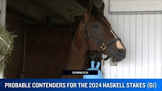 The Probable Contenders for the 2024 Haskell Stakes G1 [upl. by Hiamerej]