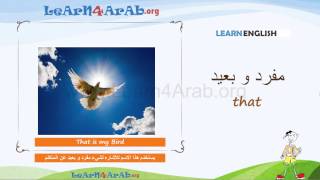 008 أسماء الاشارة Demonstratives فى اللغة الانجليزية [upl. by Chick]