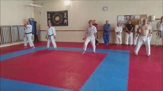 Comparativa Karate Sanchin Kata 3 estilos y San Zhan Grulla Blanca [upl. by Krystal]