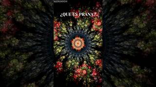 Qué es el PRANA  La Fuerza Vital  pranayama prana yoga meditacion [upl. by Neirrad]