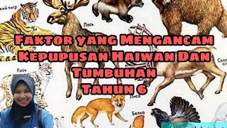 Faktorfaktor yang Mengancam Kepupusan Haiwan Dan Tumbuhan tahun 6 [upl. by Ilagam5]