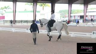 Robert Dover How To Collect the Canter [upl. by Saffren251]