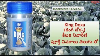 Indoxacarb 145 SC కీటక నివారిణి పూర్తీ వివరాలు తెలుగు లో  King Doxa కింగ్ డోక్స [upl. by Yttiy]