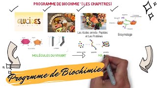 📌📣Programme des cours de BIOCHIMIE Les Glucides Lipides Acides Aminés Peptides Protéines [upl. by Aicilyhp]