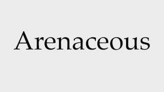 How to Pronounce Arenaceous [upl. by Leamiba189]