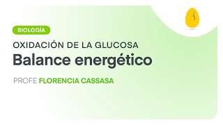 Balance energético  Biología  Oxidación de la glucosa  V7  Egg Educación [upl. by Melleta]