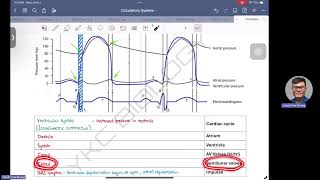 Cardiac Cycle  Heart Pressure amp Electrocardiogram Wiggers Diagram [upl. by Suzie]