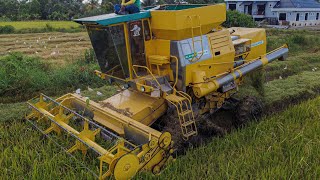 Mesin Padi 15456Boya B4 Ent Cat Baru Jalan Di Sungai Setar Perak [upl. by Zawde]