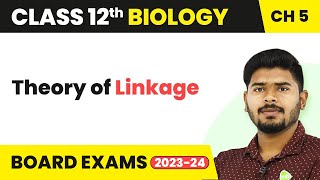 Class 12 Biology Chapter 5  Theory of Linkage  Principles of Inheritance and Variation 202223 [upl. by Alisan548]