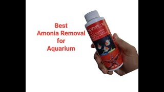 Amonia Removal Microlife s2 Aquarium Maturation [upl. by Aholla]