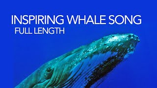 Whale song  full length humpback whale song  soothing sounds of the sea for meditation [upl. by Werdnaed]