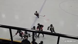 Nov 9 24 Wolverines vs GP Leduc Tournament game 1 [upl. by Mendie]