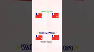 Drawing the flag of Wallis And Futuna 🇼🇫 shorts flagdrawing ytshorts satisfiyingart flags [upl. by Cleres]