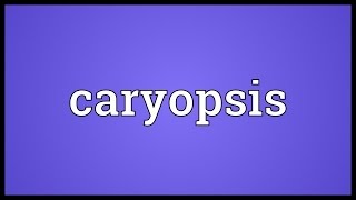 Caryopsis Meaning [upl. by Knarf726]