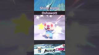 SHINY ALPHA OSHAWOTT shorts shinypokemonhunter pokemonlegendsarceus shinypokemon pokemon [upl. by Lebasy]