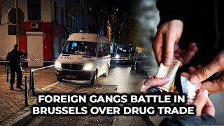 Foreign Gangs Battle in Brussels Over Drug Trade [upl. by Trawets586]