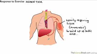 Response to Exercise for AQA 91 GCSE Biology and Trilogy Combined Science [upl. by Matland710]