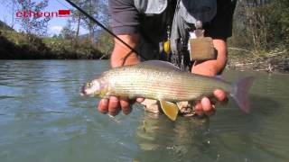 Auf Äschen im kleinen Fluss  Fliegenfischen in Österreich bei etheonTV [upl. by Klein]