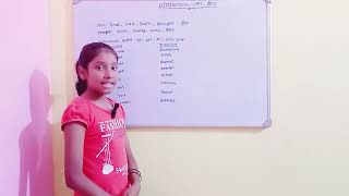 Advance English VocabDiminutives क्या होता है और इसकाformationकैसे होता है डिटेल्स मे जाने हिंदी [upl. by Ahseekat748]