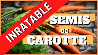 semis de carottes inratable [upl. by Atisusej386]