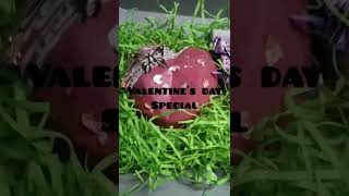 Breakable Giant Heart Chocolate  Full recipe on my channel  Shortsyoutubeshorts Madam Baker [upl. by Gilroy793]