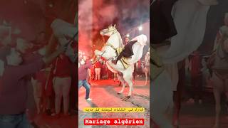 mariagealgerien mariaged اعراسجزائرية wedding follow [upl. by Aihseuqal]