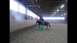 Barrel Racing without Bridle  Wendy Schrievers and Big Boy [upl. by Reifel]