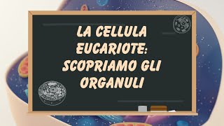 La cellula eucariote organelli cellulari e differenze tra la cellula animale e la cellula vegetale [upl. by Noxaj831]