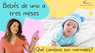 DESARROLLO del bebé de 0 a 3 MESES Qué es normal a los 1 2 y 3 meses Tu bebé mes a mes [upl. by Rednael]