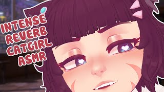 Catgirl Gives You INTENSE Reverb ASMR Tingles [upl. by Neelak]