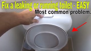 How to fix a leaking running toilet  most common problem [upl. by Malorie]